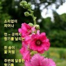 해병대패밀리 4월 16일 건강정보 이미지