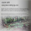 인삼약초로 | [일상] &#39;산양산삼시대&#39;(네이버쇼핑 구입후기) - 진시황이 찾던 불로초, 신선의 약초 &#39;고려인삼&#39;