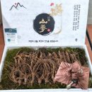 소3-55 쇼핑하우