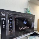 윤신근박사동물병원 | 위례 따숨동물병원 심장검사 7살 말티즈 건강검진 후기 feat.송파 장지동 동물병원