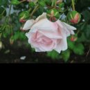 리치워터 이미지