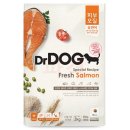 견생일기 이미지