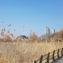 가창농원 야영장 이미지