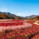 문산체육공원 | [수도권 근교 꽃구경] 알록달록 가을 인생샷! 양주 나리공원 &amp; 철원 고석정 꽃밭 + 근교 맛집 TOP4 총정리