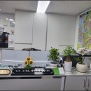 고척상가OK공인중개사사무소 | 세류동부동산 제대로 알아보고 방문한 솔직 후기