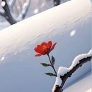 미완성 이미지
