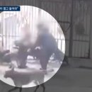 카페란떼