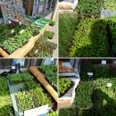 흥농농약사 이미지