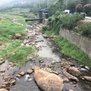 지리산녹차별펜션 이미지