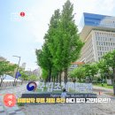 ㈜엔틱게임월드 | 세종 실내 아이와 가볼 만한 곳 어린이체험 국립조세박물관