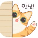노이즈웰 이미지