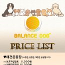 밸런스독 애견펜션 이미지