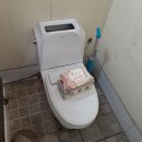 수전카센타 이미지