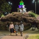 제주허브동산 이미지