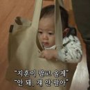 태양이네횟집 | 6월 일기