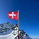 산 | 스위스 융프라우 리기산 비교 후기, 저는 리기산이 더 좋았어요