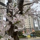 크린빌세탁 이미지