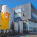 올곧제주 이미지