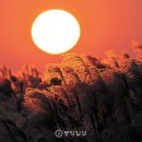 하늘공원 이미지