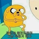 개이득