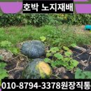 시골농장건강원