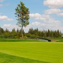 오십천 파크골프장 이미지