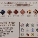가보건강침대에서 온돌침대 둘러 본 후기