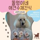 똘멍이네 | 우리집 댕댕이가 너무 좋아하는 [똘멍이네] 애견수제간식 후기
