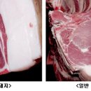 신화축산 이미지