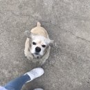 태종로주유소 이미지