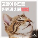 멍냥창고 이미지