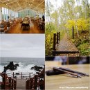 (사)태백생명의숲 | 강원도 여행 가볼만한곳 태백 삼척 1박 2일 감탄로드