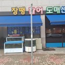 장땡활어도매센터