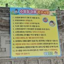 장영펜션 | 대전근교 깊은 수영장 평상 당일물놀이 최고인 옥천 장영펜션