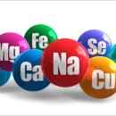 팜네이처스 이미지