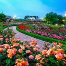 섬진강 기차마을 이미지