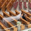 만나교회 뒤 | 분당 만나교회 | 본식스냅후기 | 로메스튜디오