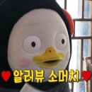 하뚜