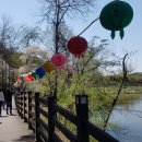 우렁이박사 이미지