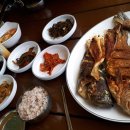 하화도 꽃섬길 민박 Daum카페