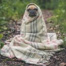 강미정연합내과의원 이미지