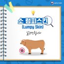럼피(Lumpy!)