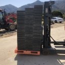 복골농장1 이미지