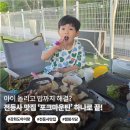 포크마운틴 | 강화도 전등사 맛집 | 아이랑 가기 좋은 캠핑 식당 포크마운틴 솔직 후기