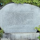 단월약국 이미지