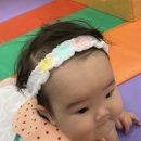 마이짐(MY GYM) 이미지