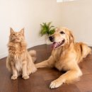 손진규동물병원 이미지