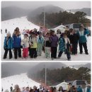 국가대표 신화 태권도장 이미지