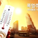 (주)돔돔 이미지