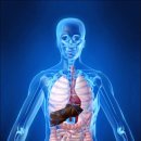 청담해리슨송도병원 이미지